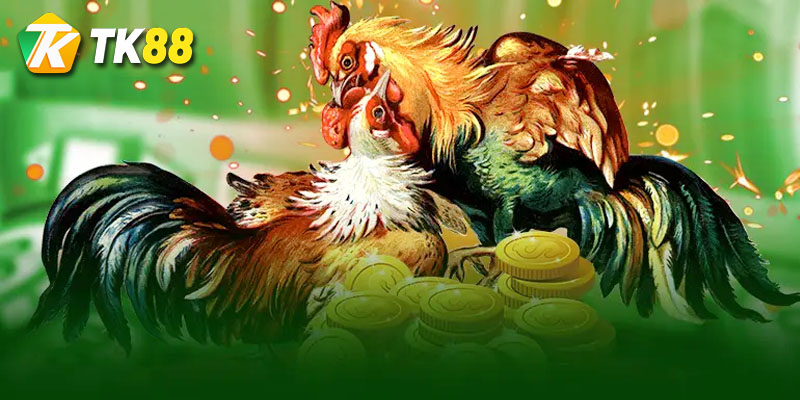 Đá gà cựa sắt Tk88 - Game cá cược hàng đầu Việt Nam 1 giới thiệu đá gà cựa sắt là gì